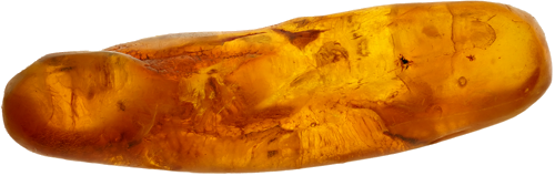 4,60  g Gintaro grynuolis su inkliuzu (1)