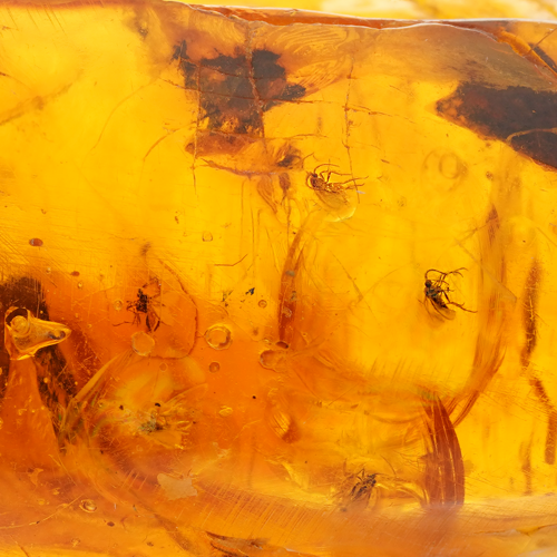 38,60 g Amber Nugget with inclusion (2)