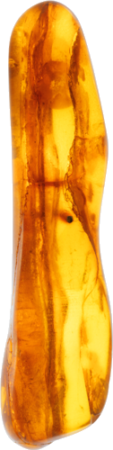 Янтарь с инклюзом 6,70 г (1)