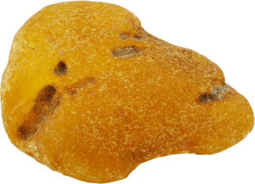 6,50 g Jūrinio Gintaro grynuolis (1)