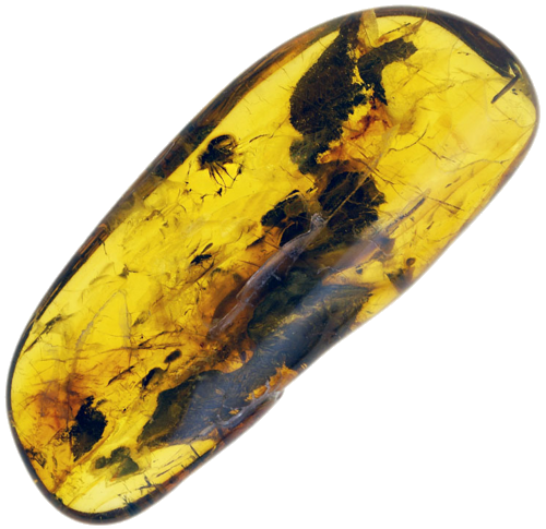 3,75 g Amber Nugget with inclusion (1)
