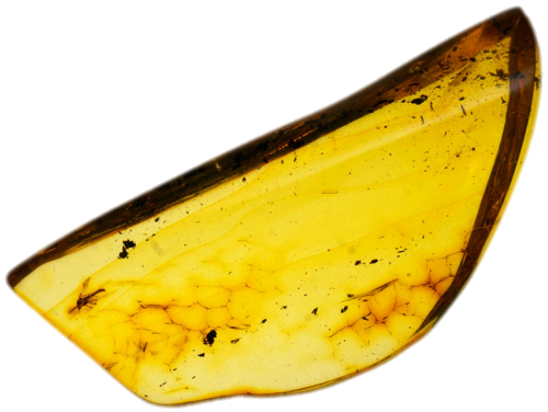 8,00 g Amber Nugget with inclusion (1)