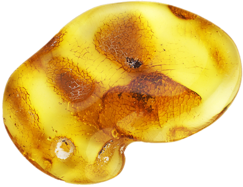 9,85 g Amber nugget (1)