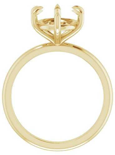 Sužadėtuvių Žiedas „Claw-Prong“ 14k yellow gold Oval 11mm x 9mm (2)