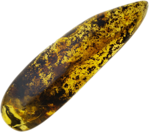 50 g Amber Nugget with inclusion (1)