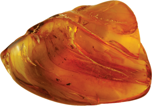 18,20 g Amber Nugget with inclusion (3)