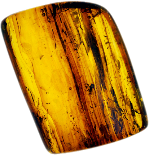 2,55 гр. Самороден кехлибар с фосил (1)