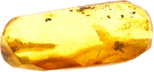 3,40 g Amber Nugget with inclusion (1)