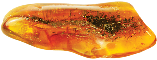 6,40 g Amber Nugget with inclusion (2)