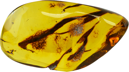 20,35 g Gintaro grynuolis (1)