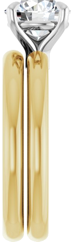 Sužadėtuvių Žiedas „Claw-Prong Euro Shank“ 14k yellow/white gold Round 7.4mm (9)