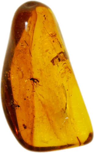 2,95 g Amber Nugget with inclusion (1)