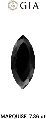 7.36 carat Fancy Black-VVS2 Natūralus Marquise Deimantas (1)