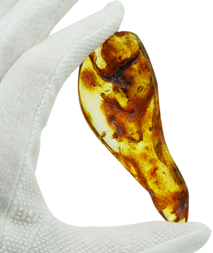 20,70 g Amber Nugget with inclusion (1)