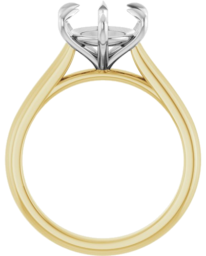 Sužadėtuvių Žiedas „Claw-Prong“ 14k yellow/white gold Oval 11mm x 9mm (2)