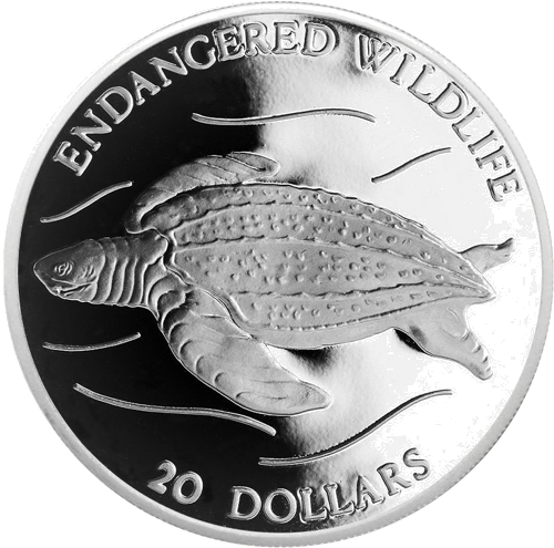 20 dolerių Odinis vėžlys 1993 Naujoji Zelandija sidabrinė moneta (1)