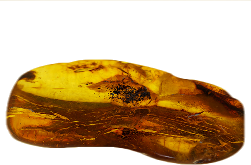 21,25 g Amber Nugget with inclusion (1)