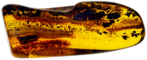 3,85 g Amber Nugget with inclusion (1)