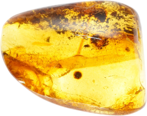 11,20 g Gintaro grynuolis su inkliuzu (2)