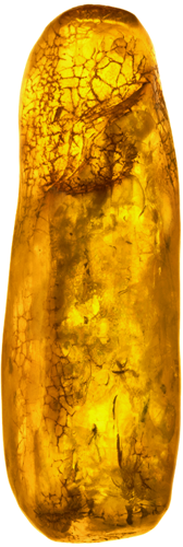 13,50 g Amber nugget with inclusion (1)