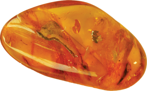 11,35 g Amber Nugget with inclusion (2)