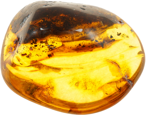 14,85 g Amber nugget (2)