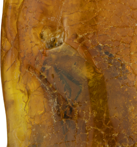 3,60 g Amber nugget with inclusion (5)