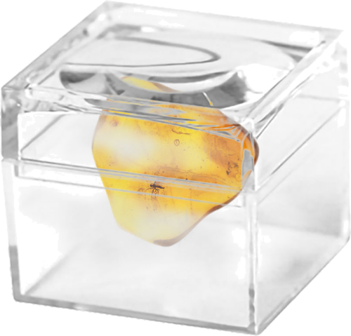 0,95 g Gintaro grynuolis su inkliuzu (2)