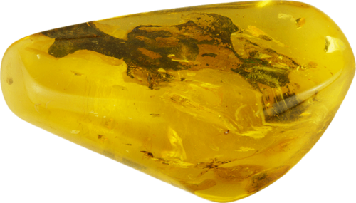 16,30 g  Amber Nugget with fly inclusion (4)