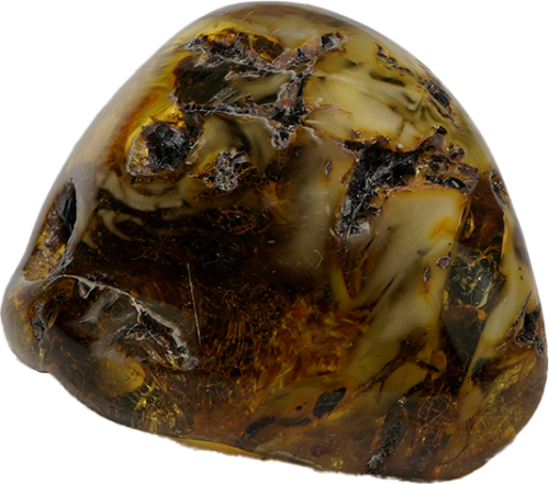 12,20 g Amber nugget with wood inclusion (2)