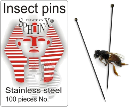Entomological pins insects (Stainless steel) (1)