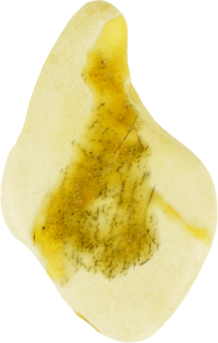 1,15 g Amber nugget (1)