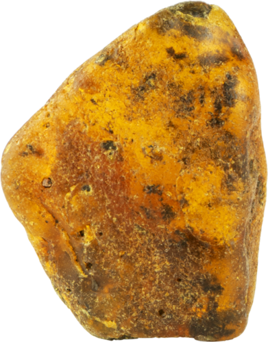 8,50 g Jūrinio Gintaro grynuolis (1)