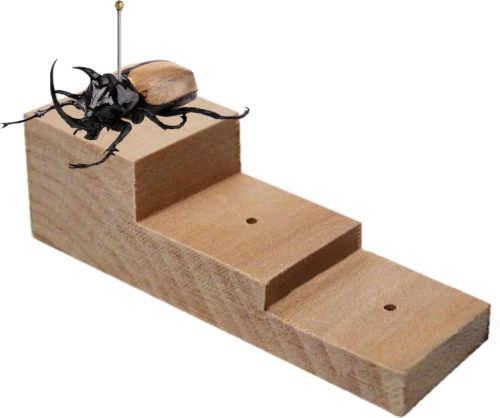 Tapu bloks kukaiņu sagatavošanai (1)