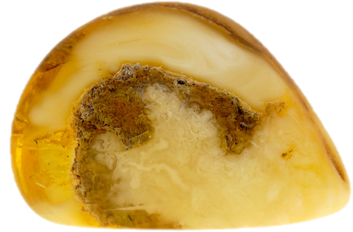 11,85 g Amber nugget (1)