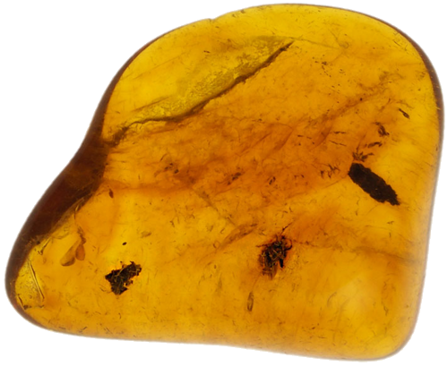 0,90 g Gintaro grynuolis su inkliuzu (1)