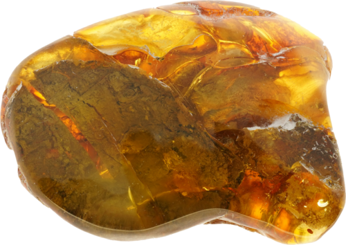 9,70 g Amber Nugget with inclusion (1)