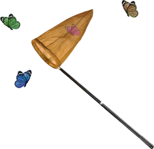 Tīkls tauriņu ķeršanai (1)