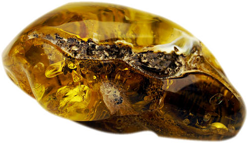 Самородок янтаря 20,25 г (4)