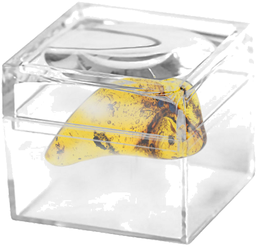 1,40 гр. Самороден кехлибар с фосил (2)