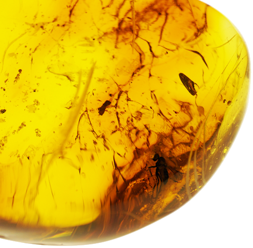 32,50 гр. Самороден кехлибар с фосил (3)