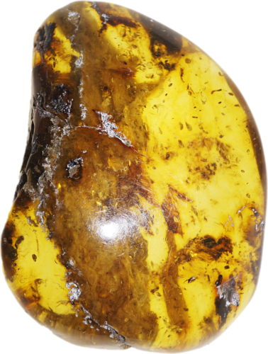 16,70 g Amber nugget (1)