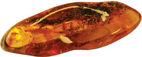 6,40 g Amber Nugget with inclusion (3)