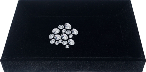 Zomšinis padėkliukas (1)