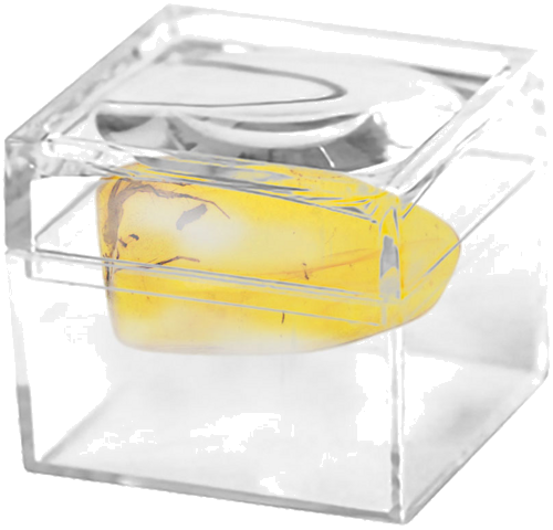 1,80 g Gintaro grynuolis su inkliuzu (2)