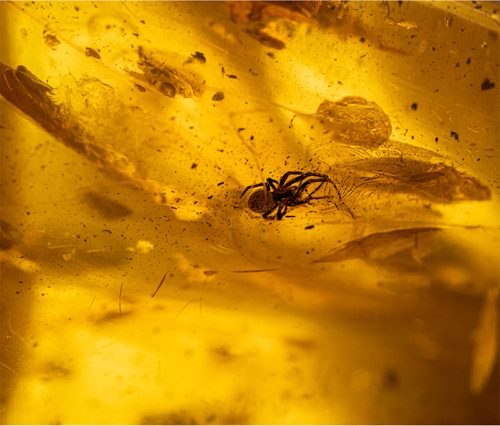 47,95 гр. Самороден кехлибар с фосил (2)