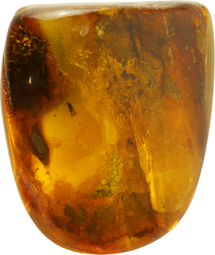 22,15 g Amber Nugget with fly inclusion (2)