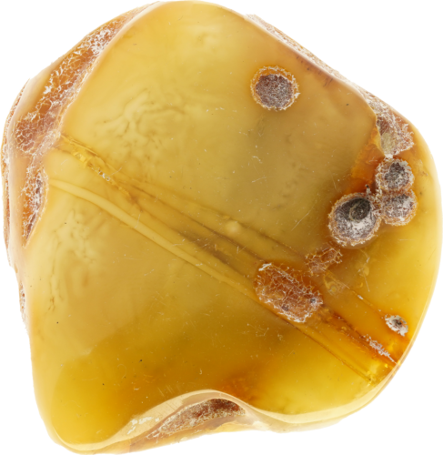 17,15 g Amber nugget (1)