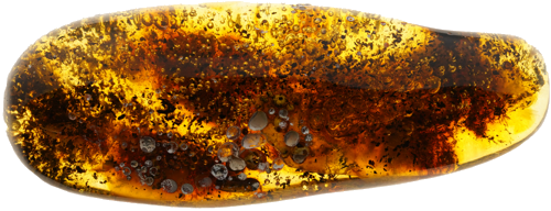 12,05 g Amber nugget (2)