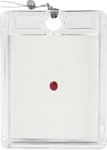 0,23 ct. Rubinas Ovalus H.F (1)